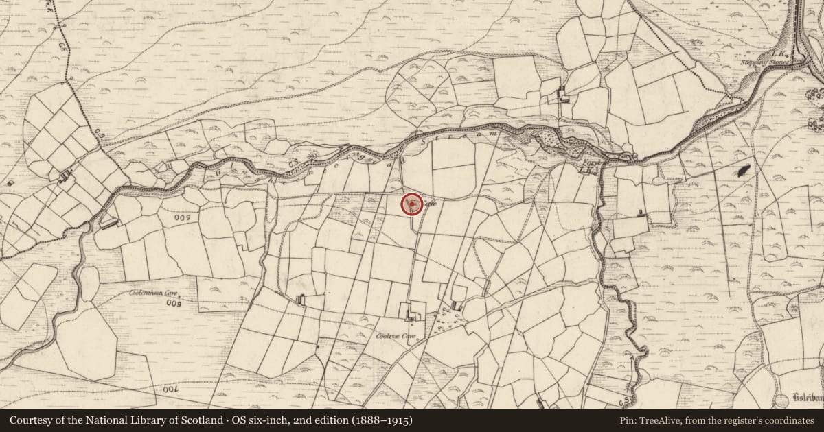 Ordnance Survey six-inch map, 2nd edition (1888–1915) covering the location of Hut site, Coolroe, County Kerry, with a pin at the register's coordinates