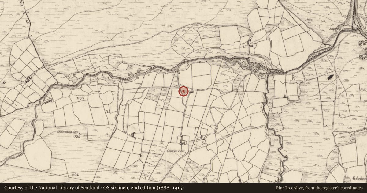Ordnance Survey six-inch map, 2nd edition (1888–1915) covering the location of Souterrain, Coolroe, County Kerry, with a pin at the register's coordinates