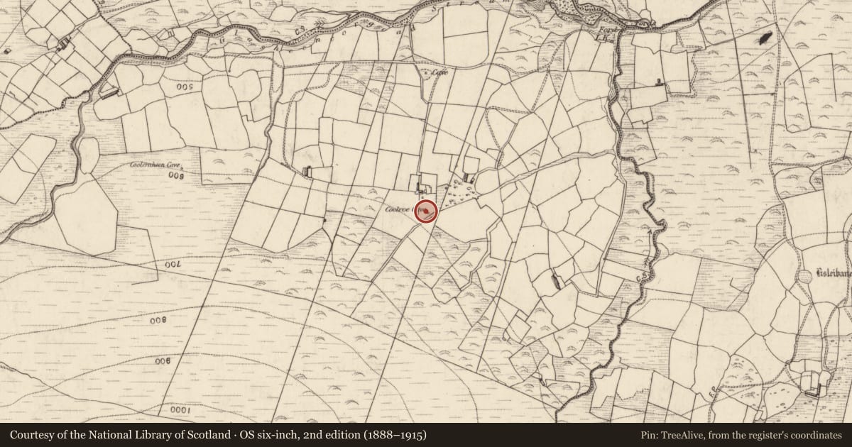 Ordnance Survey six-inch map, 2nd edition (1888–1915) covering the location of Souterrain, Coolroe, County Kerry, with a pin at the register's coordinates