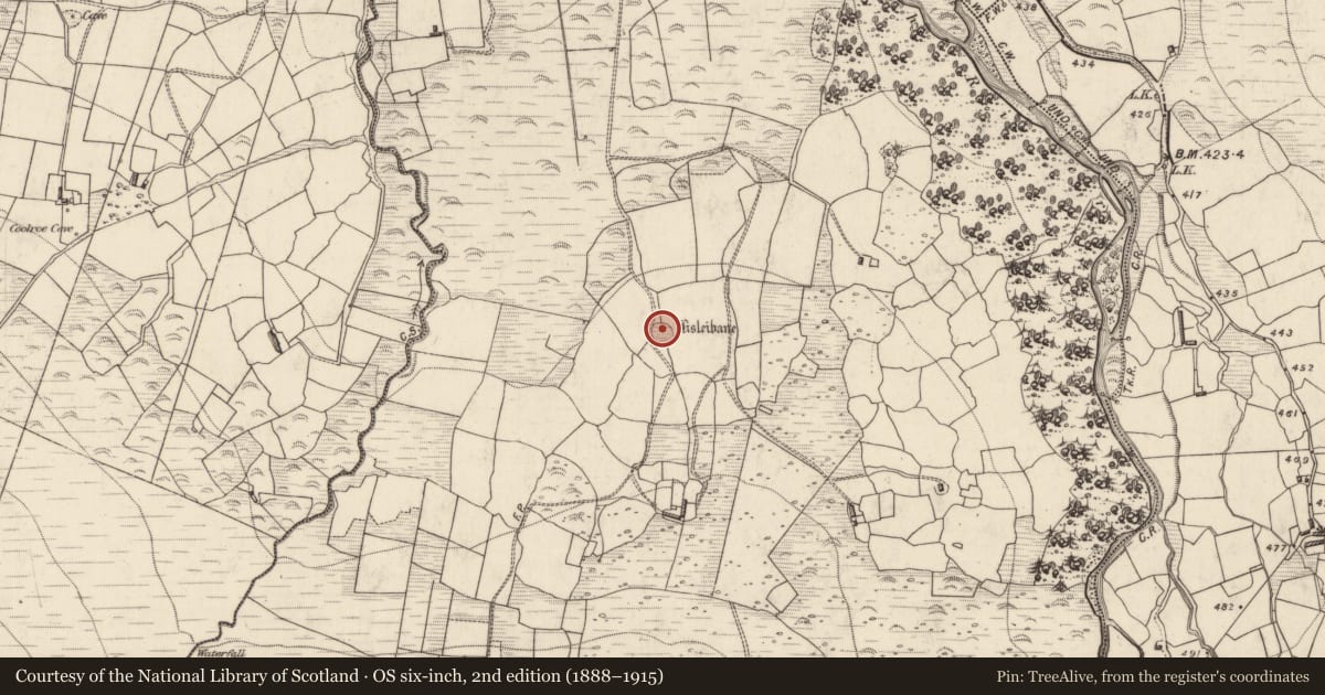 Ordnance Survey six-inch map, 2nd edition (1888–1915) covering the location of Ringfort - cashel, Lisleibane, County Kerry, with a pin at the register's coordinates