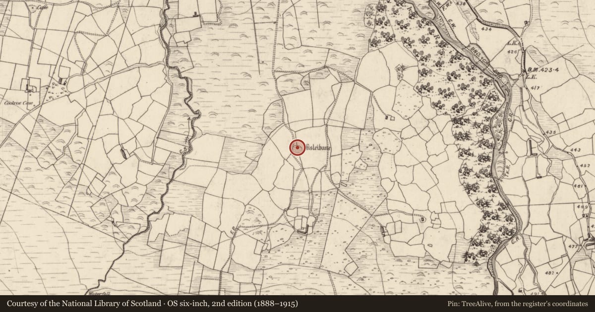 Ordnance Survey six-inch map, 2nd edition (1888–1915) covering the location of Hut site, Lisleibane, County Kerry, with a pin at the register's coordinates