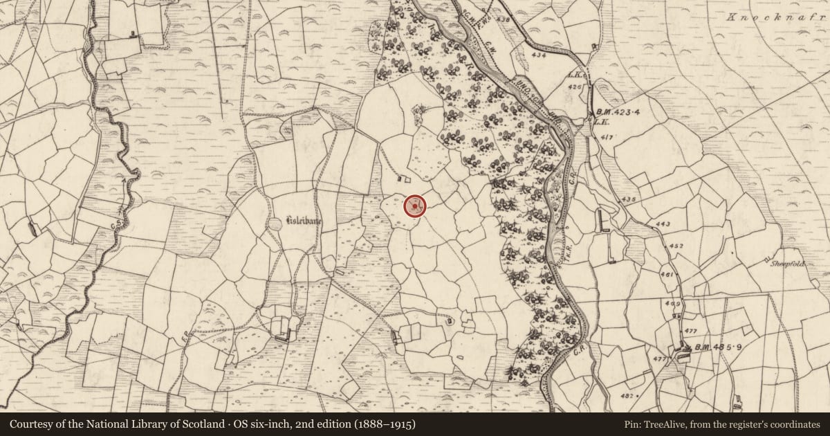 Ordnance Survey six-inch map, 2nd edition (1888–1915) covering the location of Cupmarked stone, Lisleibane, County Kerry, with a pin at the register's coordinates