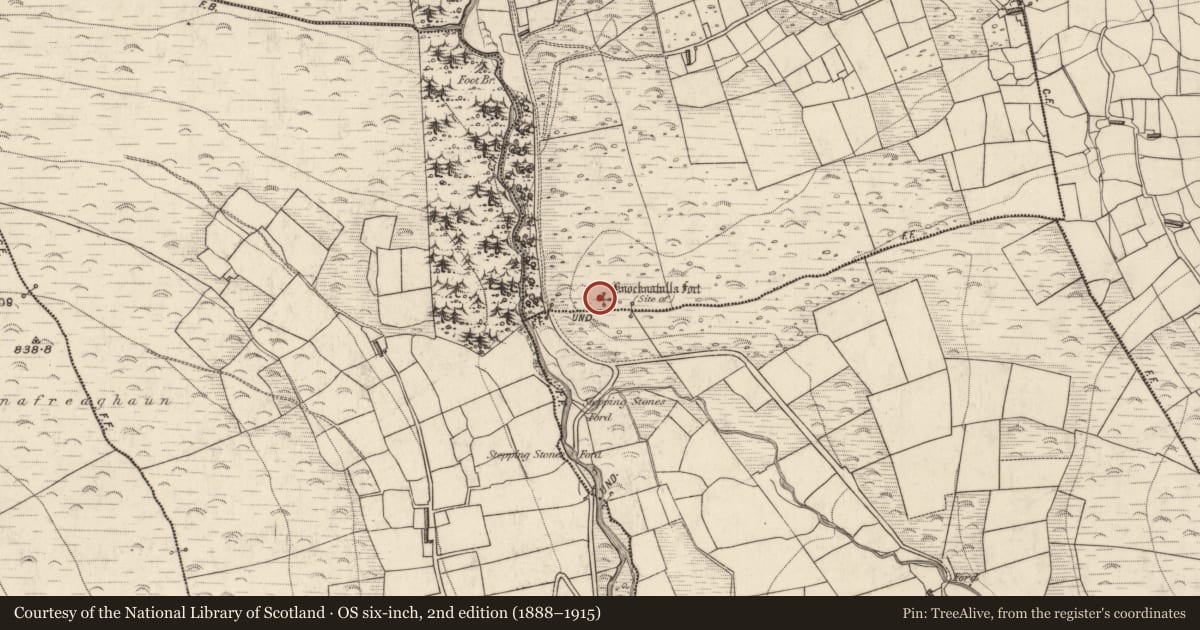 Ordnance Survey six-inch map, 2nd edition (1888–1915) covering the location of Ringfort - rath, Carhoonahone, County Kerry, with a pin at the register's coordinates