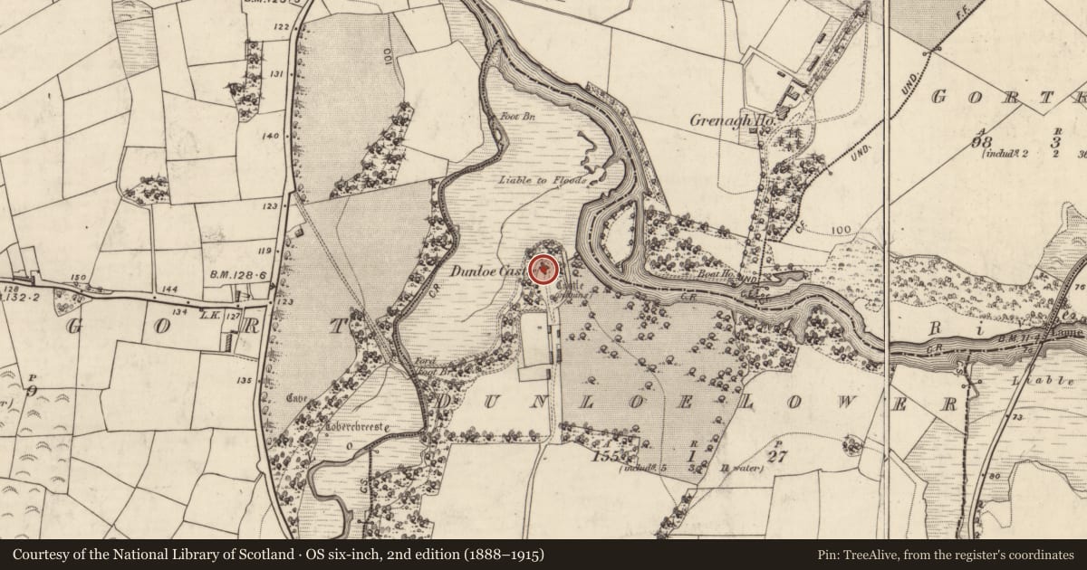 Ordnance Survey six-inch map, 2nd edition (1888–1915) covering the location of Castle - tower house, Dunloe Lower, County Kerry, with a pin at the register's coordinates