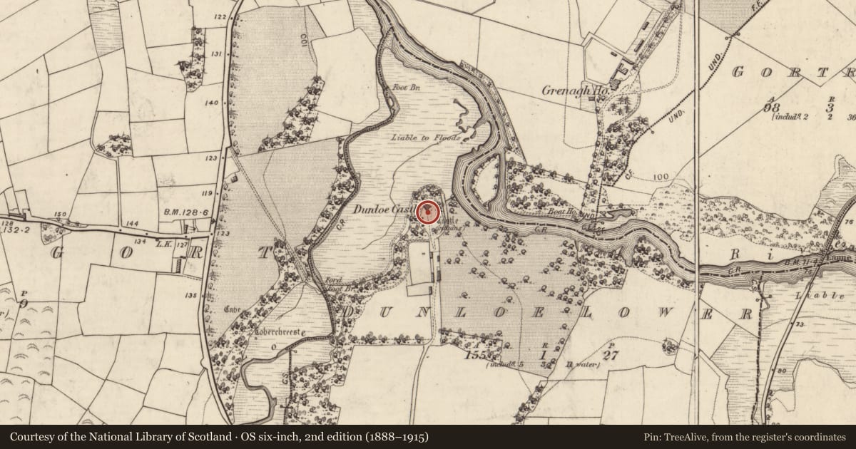 Ordnance Survey six-inch map, 2nd edition (1888–1915) covering the location of Architectural fragment, Dunloe Lower, County Kerry, with a pin at the register's coordinates