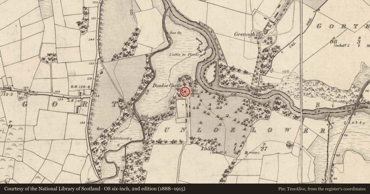 Ordnance Survey six-inch map, 2nd edition (1888–1915) covering the location of Bawn, Dunloe Lower, County Kerry, with a pin at the register's coordinates