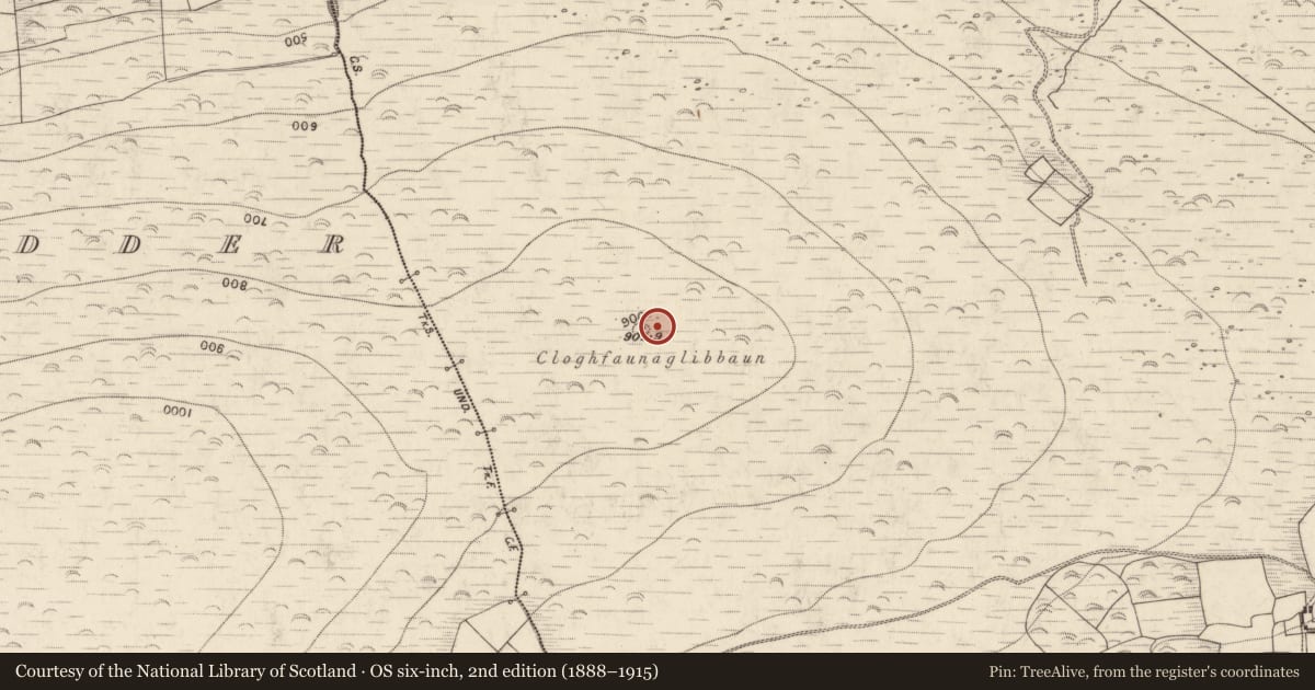 Ordnance Survey six-inch map, 2nd edition (1888–1915) covering the location of Field boundary, Kill, County Kerry, with a pin at the register's coordinates