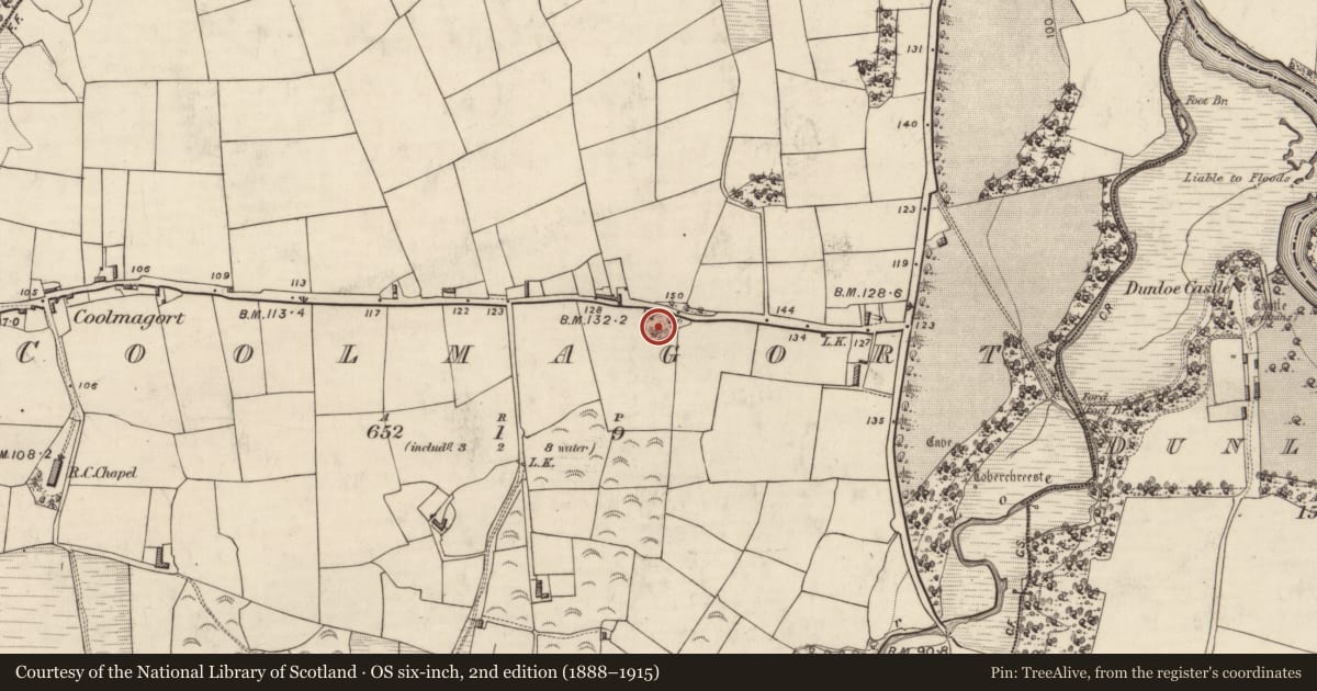 Ordnance Survey six-inch map, 2nd edition (1888–1915) covering the location of Ringfort - rath, Coolmagort, County Kerry, with a pin at the register's coordinates