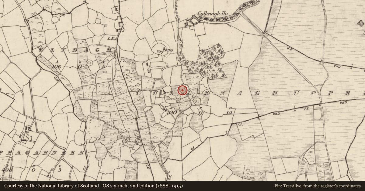 Ordnance Survey six-inch map, 2nd edition (1888–1915) covering the location of Enclosure, Cullenagh Upper, County Kerry, with a pin at the register's coordinates