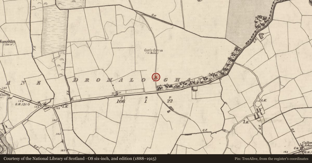 Ordnance Survey six-inch map, 2nd edition (1888–1915) covering the location of Fulacht fia, Dromaloughane, County Kerry, with a pin at the register's coordinates