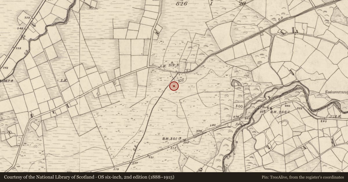 Ordnance Survey six-inch map, 2nd edition (1888–1915) covering the location of Ritual site - holy well, Shannera Upper, County Kerry, with a pin at the register's coordinates