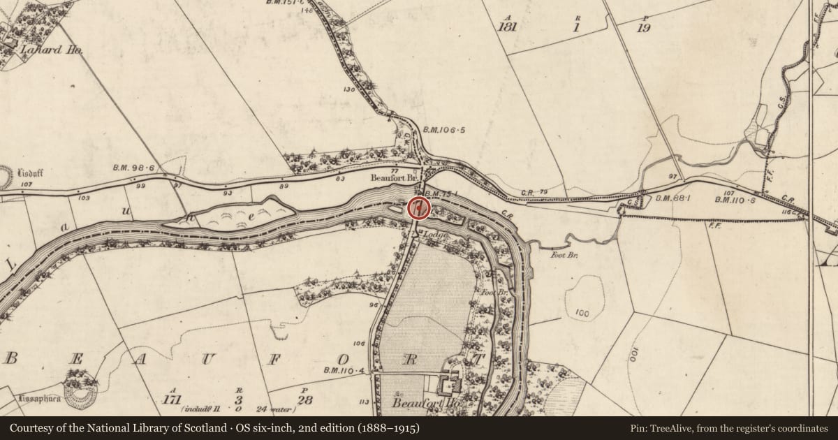 Ordnance Survey six-inch map, 2nd edition (1888–1915) covering the location of Bridge, County Kerry, with a pin at the register's coordinates