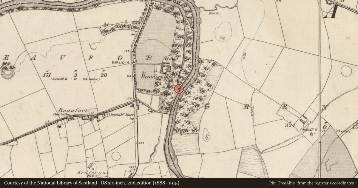 Ordnance Survey six-inch map, 2nd edition (1888–1915) covering the location of Ogham stone (present location), Beaufort, County Kerry, with a pin at the register's coordinates
