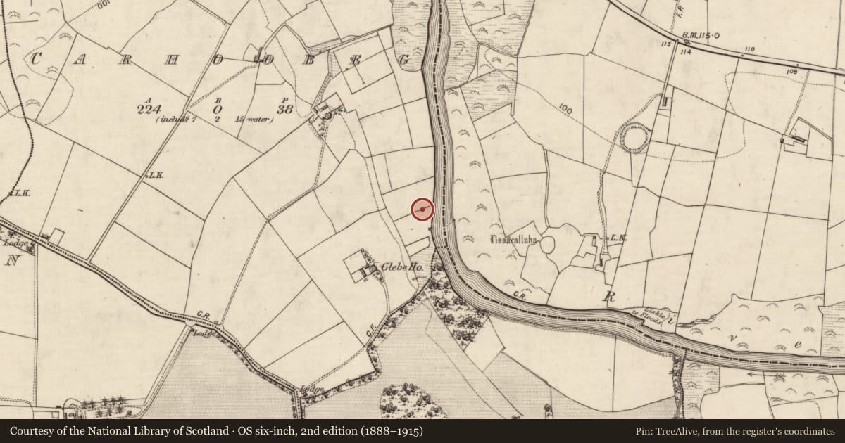 Ordnance Survey six-inch map, 2nd edition (1888–1915) covering the location of Fulacht fia, Carhoobeg, County Kerry, with a pin at the register's coordinates