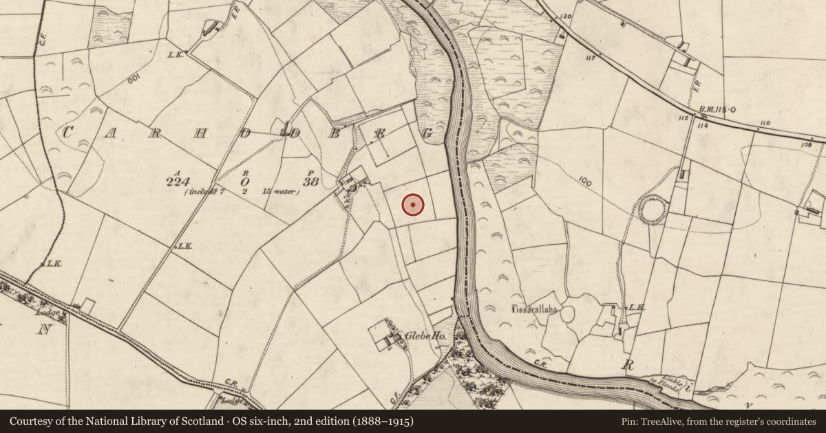 Ordnance Survey six-inch map, 2nd edition (1888–1915) covering the location of Fulacht fia, Carhoobeg, County Kerry, with a pin at the register's coordinates