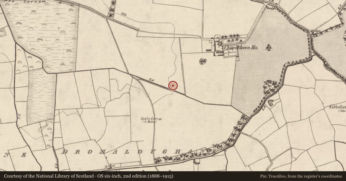 Ordnance Survey six-inch map, 2nd edition (1888–1915) covering the location of Enclosure, Churchtown, County Kerry, with a pin at the register's coordinates