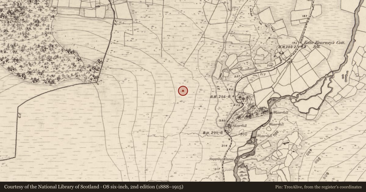 Ordnance Survey six-inch map, 2nd edition (1888–1915) covering the location of Hut site, Dunloe Upper, County Kerry, with a pin at the register's coordinates