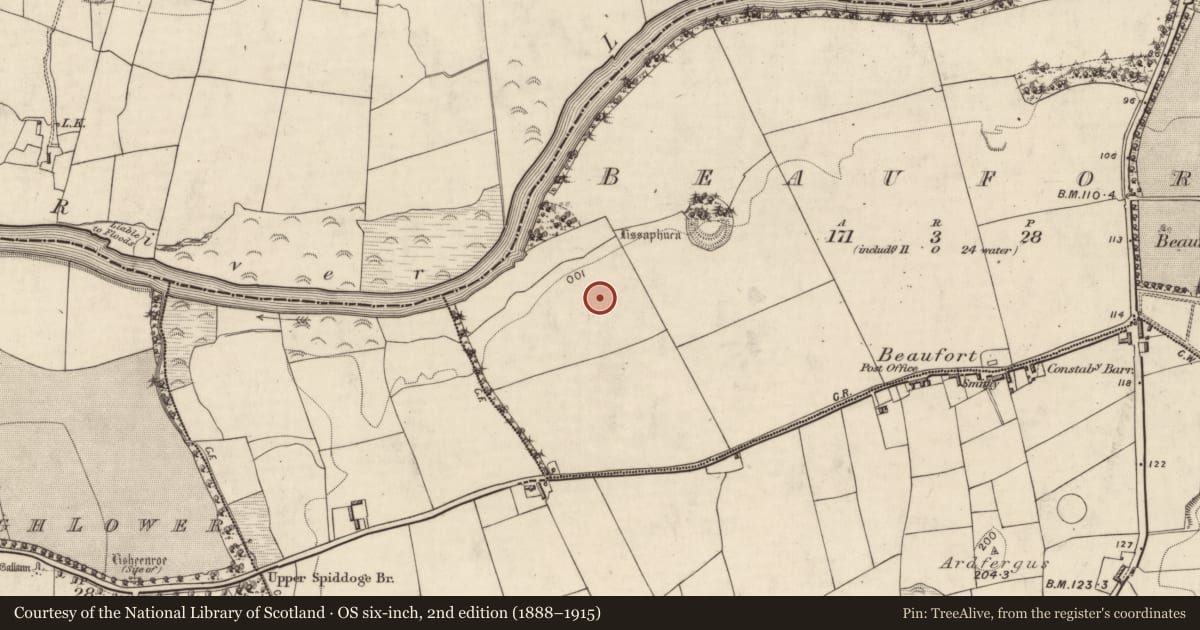 Ordnance Survey six-inch map, 2nd edition (1888–1915) covering the location of Kiln - corn-drying, Beaufort, County Kerry, with a pin at the register's coordinates