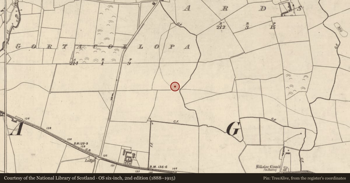 Ordnance Survey six-inch map, 2nd edition (1888–1915) covering the location of Ringfort - rath, Gortacollopa, County Kerry, with a pin at the register's coordinates