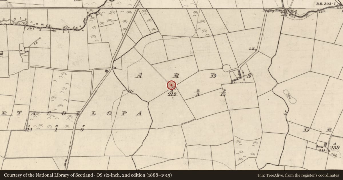 Ordnance Survey six-inch map, 2nd edition (1888–1915) covering the location of Ringfort - rath, Ards, County Kerry, with a pin at the register's coordinates
