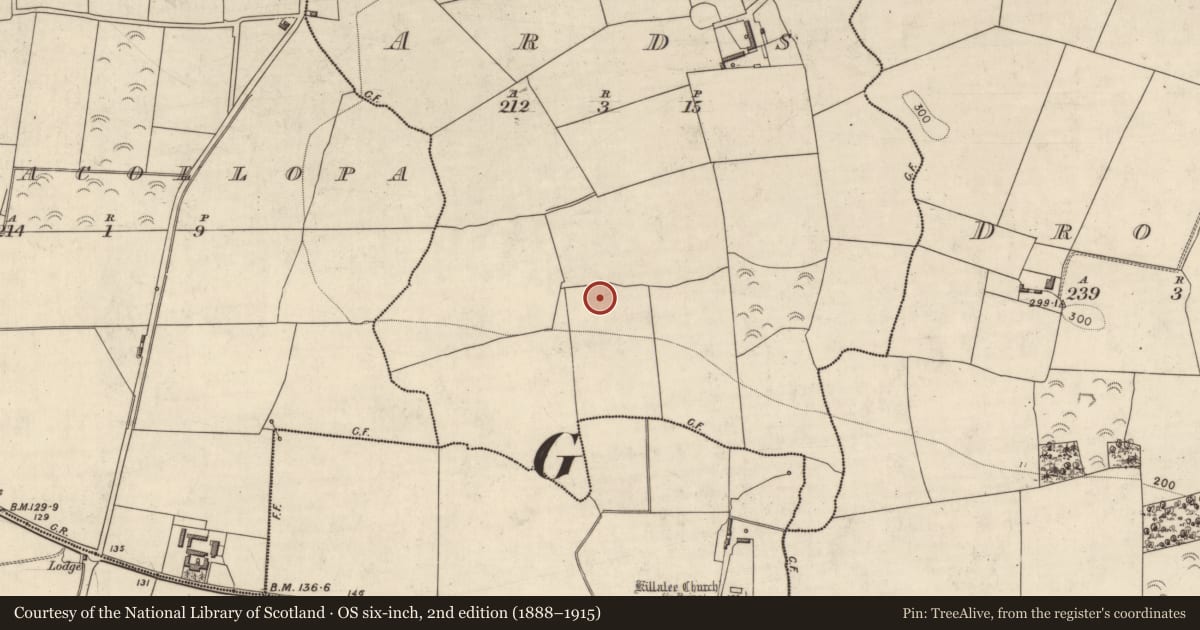 Ordnance Survey six-inch map, 2nd edition (1888–1915) covering the location of Ringfort - rath, Ards, County Kerry, with a pin at the register's coordinates