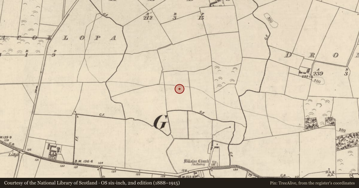 Ordnance Survey six-inch map, 2nd edition (1888–1915) covering the location of Ringfort - rath, Ards, County Kerry, with a pin at the register's coordinates