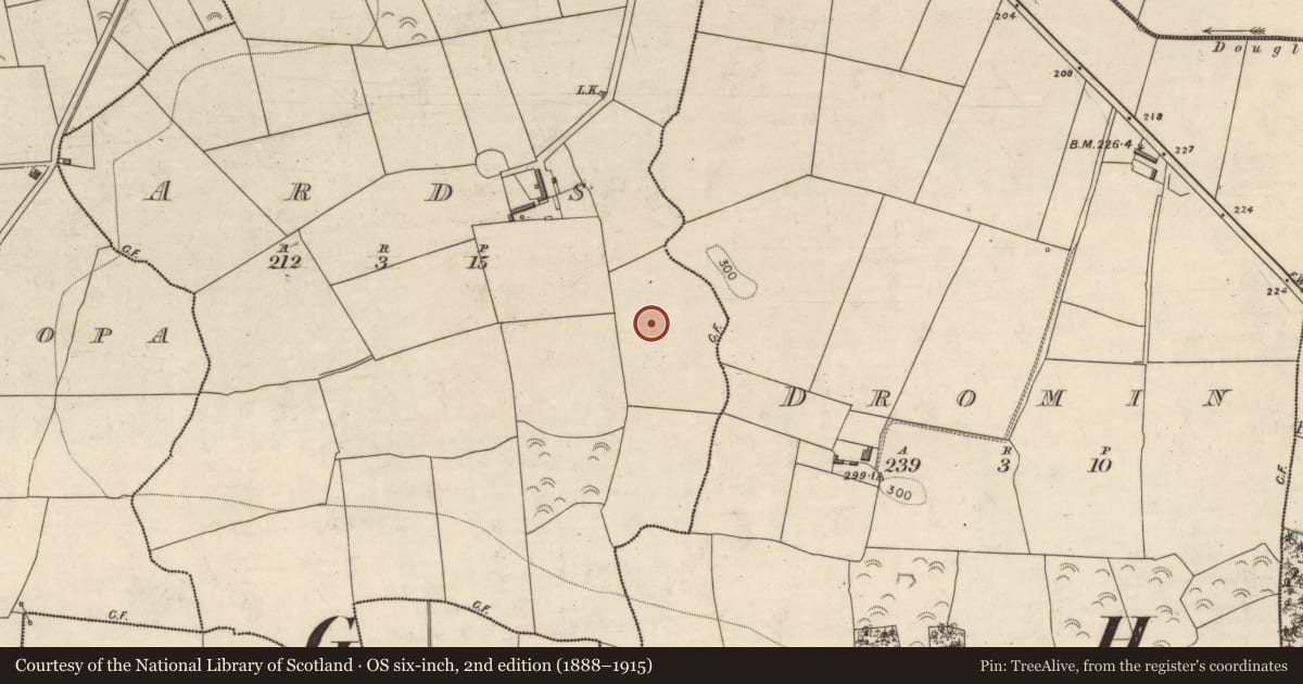 Ordnance Survey six-inch map, 2nd edition (1888–1915) covering the location of Ringfort - rath, Ards, County Kerry, with a pin at the register's coordinates