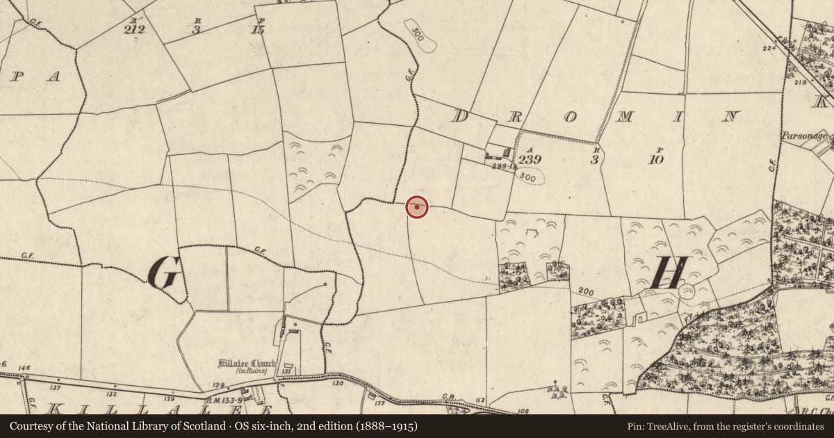 Ordnance Survey six-inch map, 2nd edition (1888–1915) covering the location of Ringfort - rath, Dromin, County Kerry, with a pin at the register's coordinates