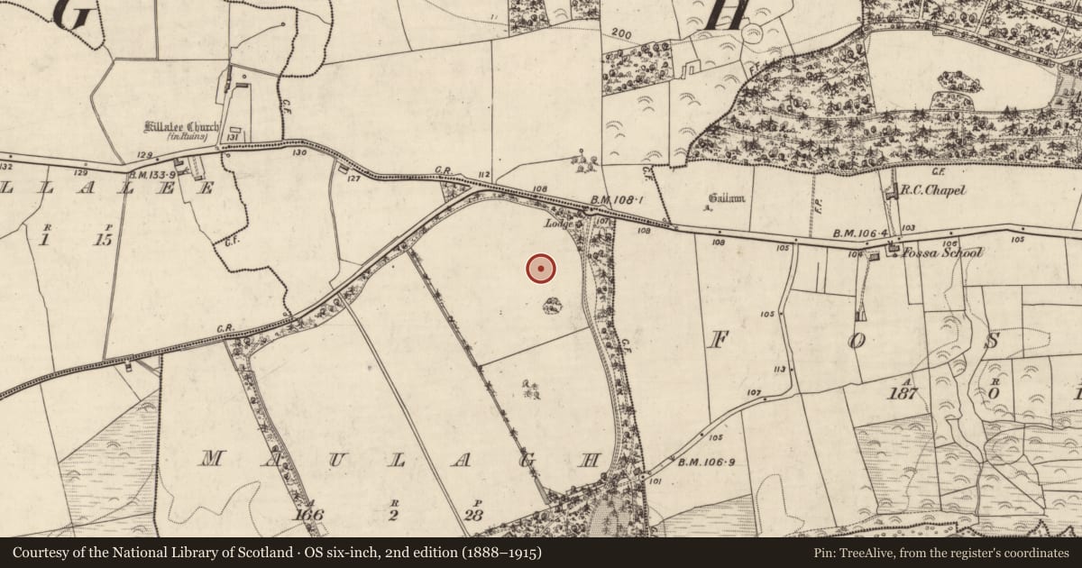 Ordnance Survey six-inch map, 2nd edition (1888–1915) covering the location of Ringfort - rath, Maulagh, County Kerry, with a pin at the register's coordinates