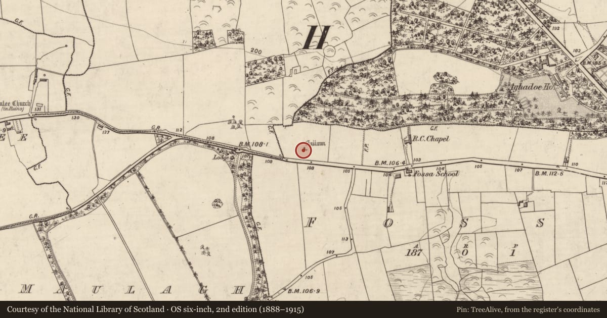 Ordnance Survey six-inch map, 2nd edition (1888–1915) covering the location of Standing stone, Fossa, County Kerry, with a pin at the register's coordinates