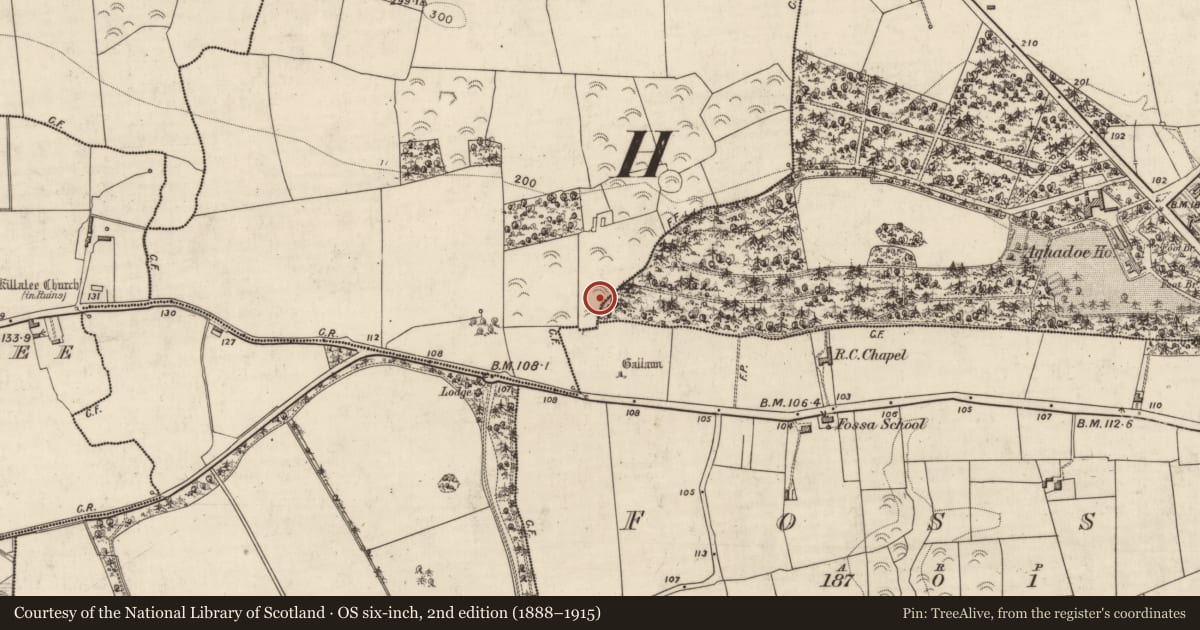 Ordnance Survey six-inch map, 2nd edition (1888–1915) covering the location of Fulacht fia, Dromin, County Kerry, with a pin at the register's coordinates