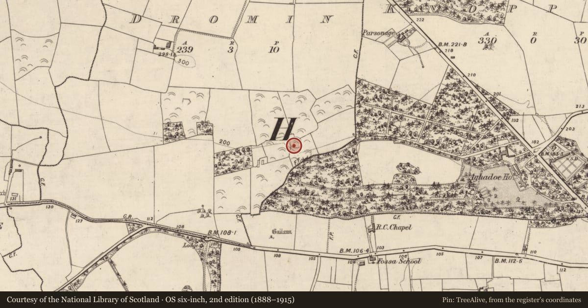 Ordnance Survey six-inch map, 2nd edition (1888–1915) covering the location of Ringfort - rath, Dromin, County Kerry, with a pin at the register's coordinates