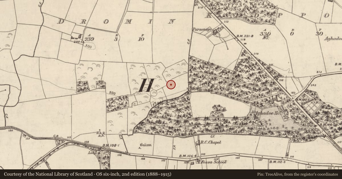 Ordnance Survey six-inch map, 2nd edition (1888–1915) covering the location of Fulacht fia, Dromin, County Kerry, with a pin at the register's coordinates
