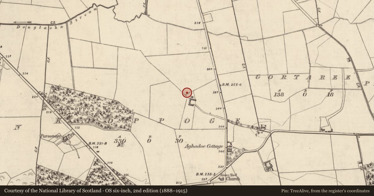 Ordnance Survey six-inch map, 2nd edition (1888–1915) covering the location of Ringfort - rath, Knoppoge, County Kerry, with a pin at the register's coordinates