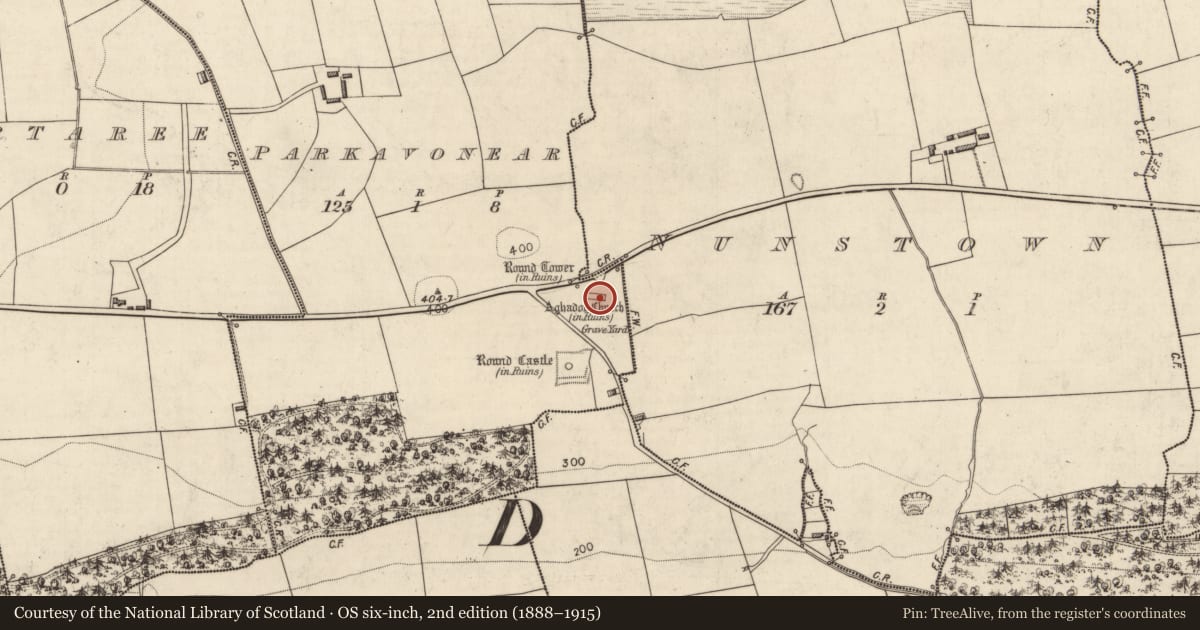 Ordnance Survey six-inch map, 2nd edition (1888–1915) covering the location of Church, Parkavonear, County Kerry, with a pin at the register's coordinates