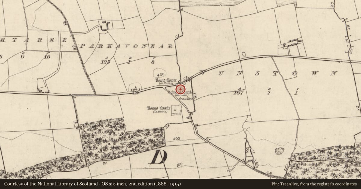 Ordnance Survey six-inch map, 2nd edition (1888–1915) covering the location of Bullaun stone, Parkavonear, County Kerry, with a pin at the register's coordinates