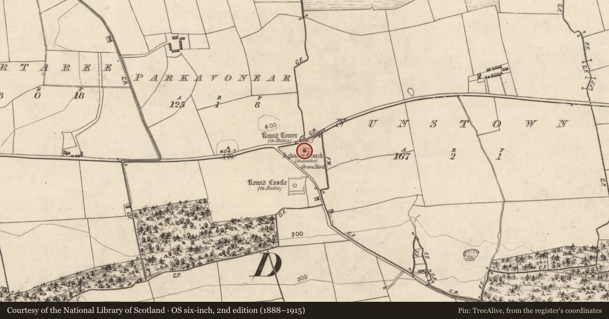 Ordnance Survey six-inch map, 2nd edition (1888–1915) covering the location of Graveslab, Parkavonear, County Kerry, with a pin at the register's coordinates