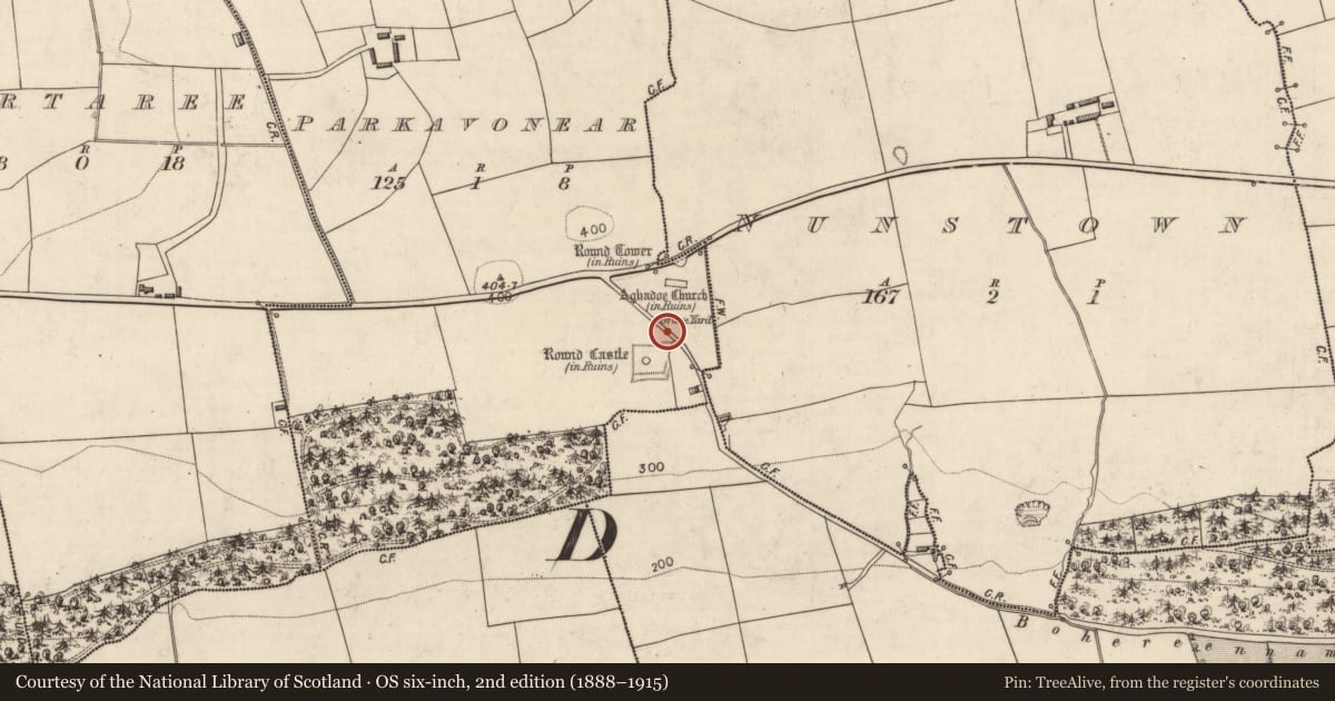 Ordnance Survey six-inch map, 2nd edition (1888–1915) covering the location of Ogham stone, Parkavonear, County Kerry, with a pin at the register's coordinates
