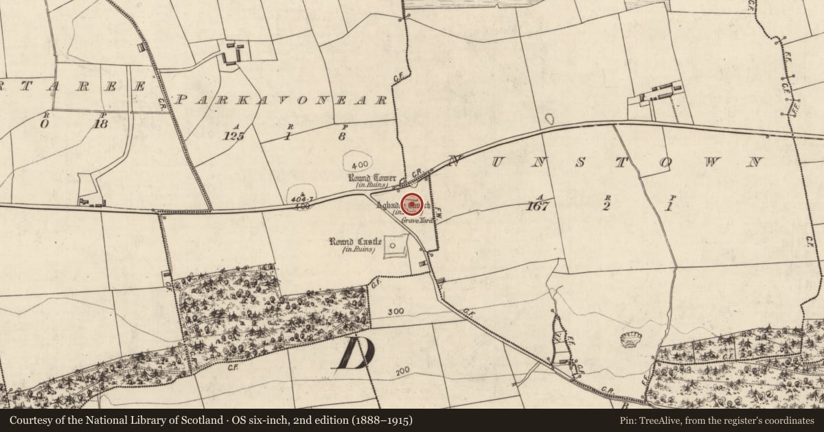 Ordnance Survey six-inch map, 2nd edition (1888–1915) covering the location of Architectural fragment, Parkavonear, County Kerry, with a pin at the register's coordinates