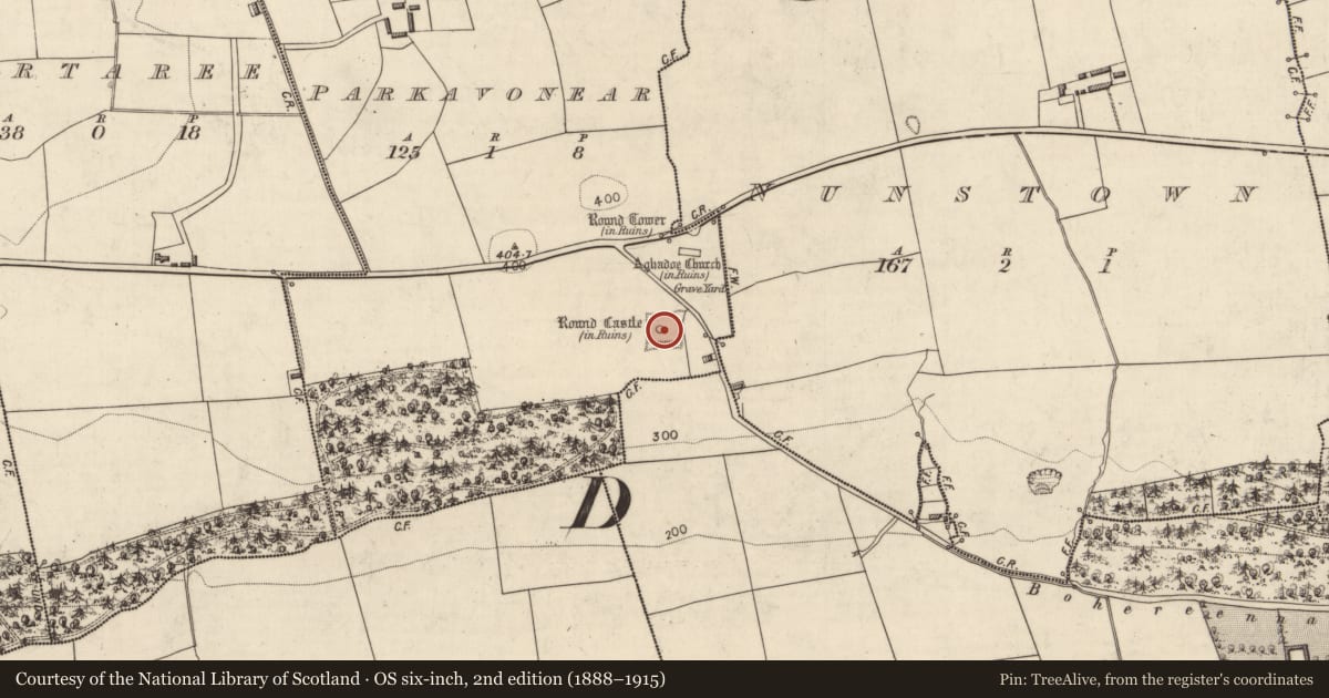 Ordnance Survey six-inch map, 2nd edition (1888–1915) covering the location of Castle - Anglo-Norman masonry castle, Parkavonear, County Kerry, with a pin at the register's coordinates