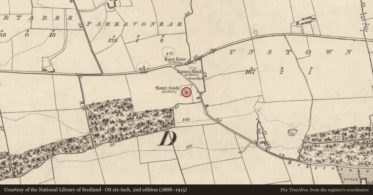Ordnance Survey six-inch map, 2nd edition (1888–1915) covering the location of Earthwork, Parkavonear, County Kerry, with a pin at the register's coordinates