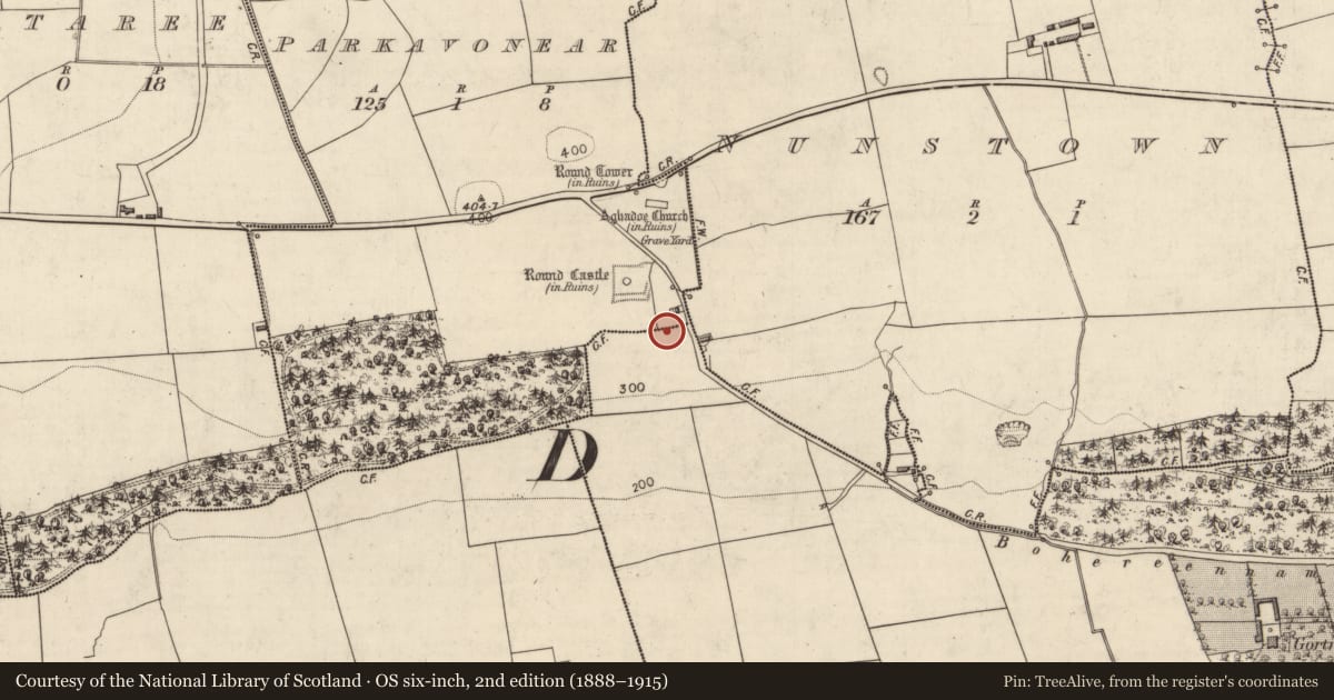Ordnance Survey six-inch map, 2nd edition (1888–1915) covering the location of Fulacht fia, Parkavonear, County Kerry, with a pin at the register's coordinates