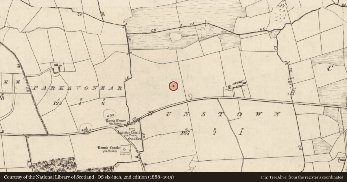 Ordnance Survey six-inch map, 2nd edition (1888–1915) covering the location of Souterrain, Nunstown, County Kerry, with a pin at the register's coordinates