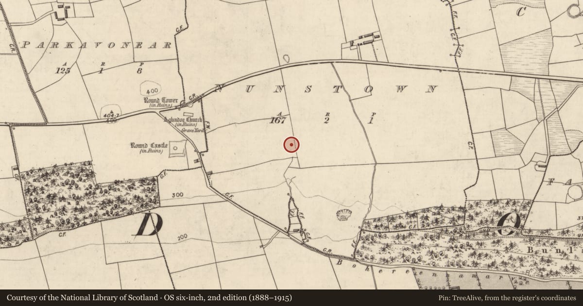Ordnance Survey six-inch map, 2nd edition (1888–1915) covering the location of Fulacht fia, Nunstown, County Kerry, with a pin at the register's coordinates