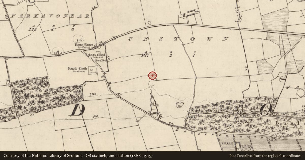 Ordnance Survey six-inch map, 2nd edition (1888–1915) covering the location of Fulacht fia, Nunstown, County Kerry, with a pin at the register's coordinates