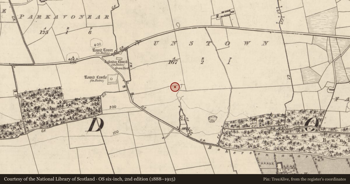 Ordnance Survey six-inch map, 2nd edition (1888–1915) covering the location of Fulacht fia, Nunstown, County Kerry, with a pin at the register's coordinates
