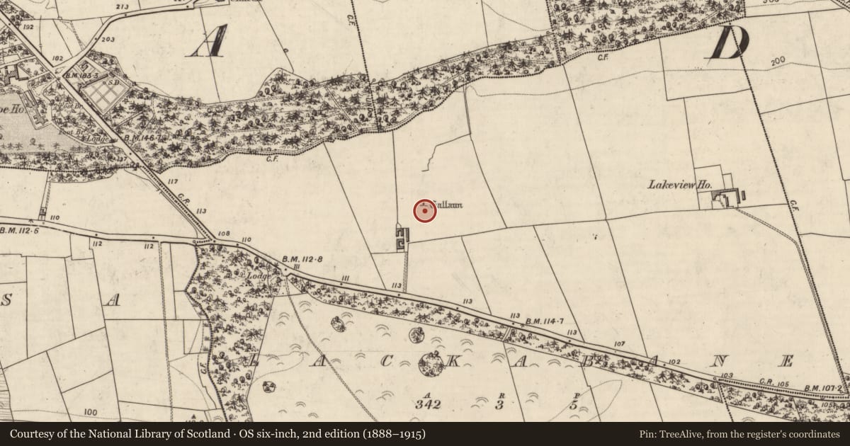 Ordnance Survey six-inch map, 2nd edition (1888–1915) covering the location of Standing stone, Lackabane, County Kerry, with a pin at the register's coordinates
