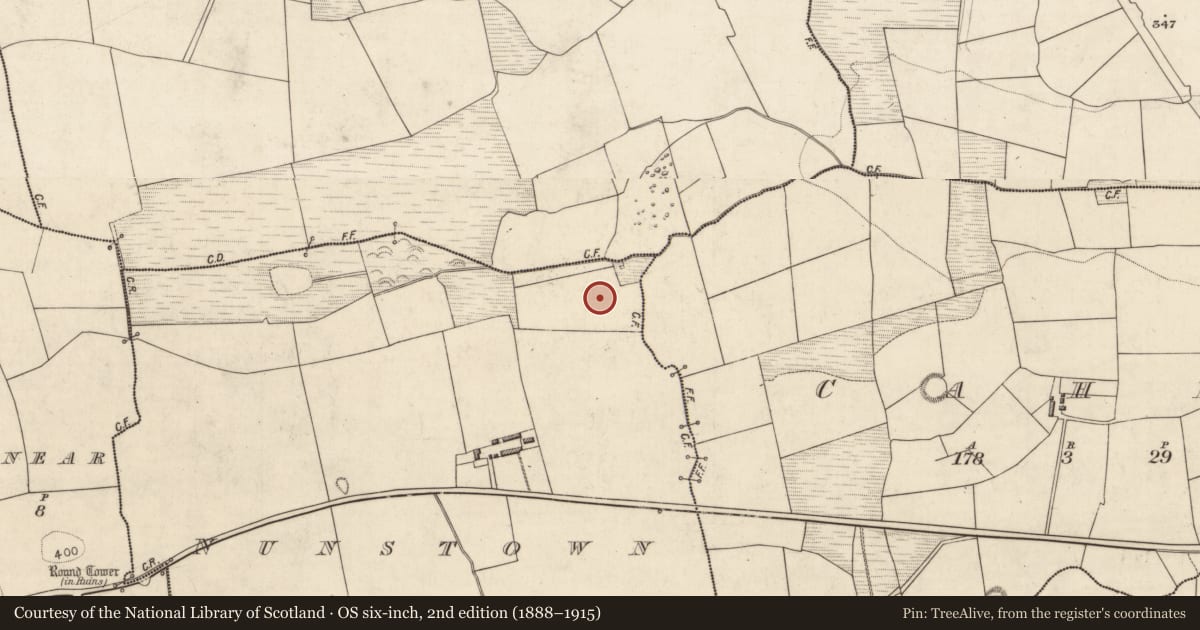 Ordnance Survey six-inch map, 2nd edition (1888–1915) covering the location of Burnt spread, Nunstown, County Kerry, with a pin at the register's coordinates