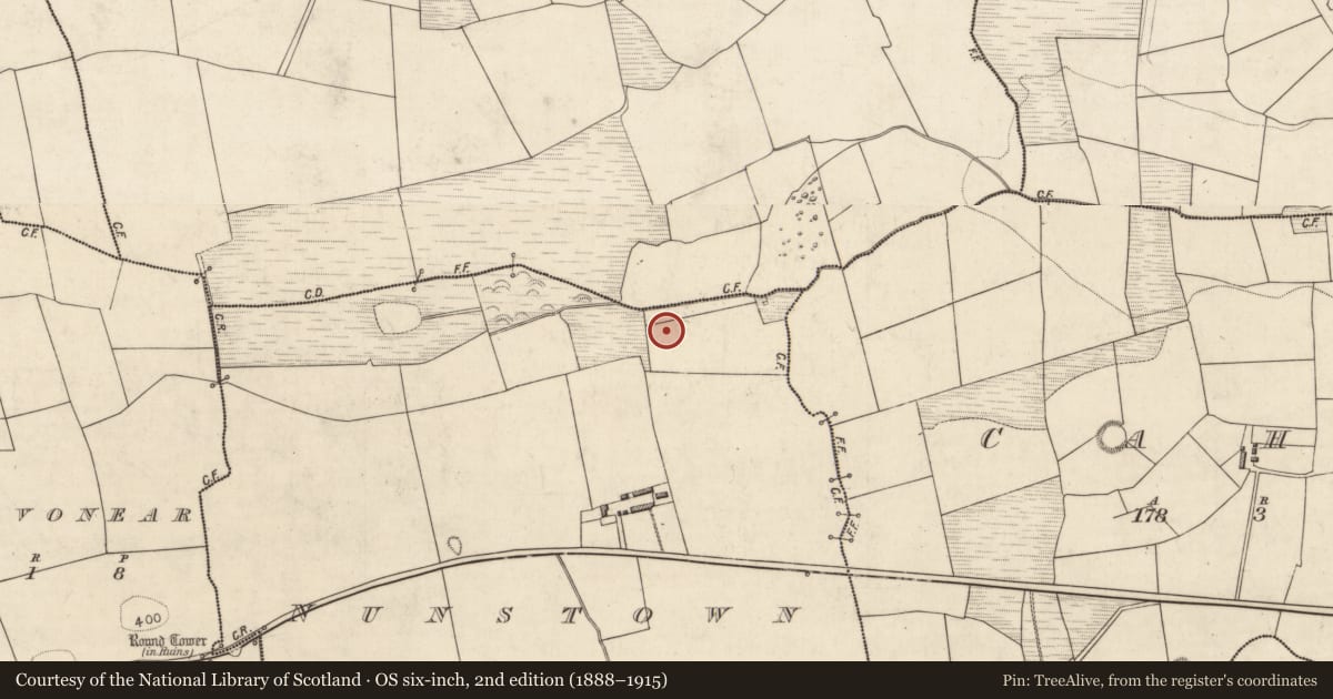 Ordnance Survey six-inch map, 2nd edition (1888–1915) covering the location of Burnt spread, Nunstown, County Kerry, with a pin at the register's coordinates
