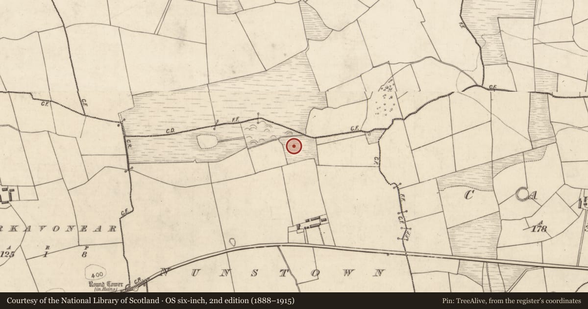 Ordnance Survey six-inch map, 2nd edition (1888–1915) covering the location of Fulacht fia, Nunstown, County Kerry, with a pin at the register's coordinates